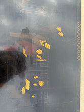 Load image into Gallery viewer, Chinoiserie Chinese Coffee Table