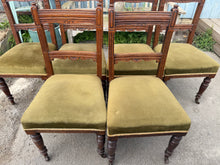 Load image into Gallery viewer, 6 x Edwardian Chairs
